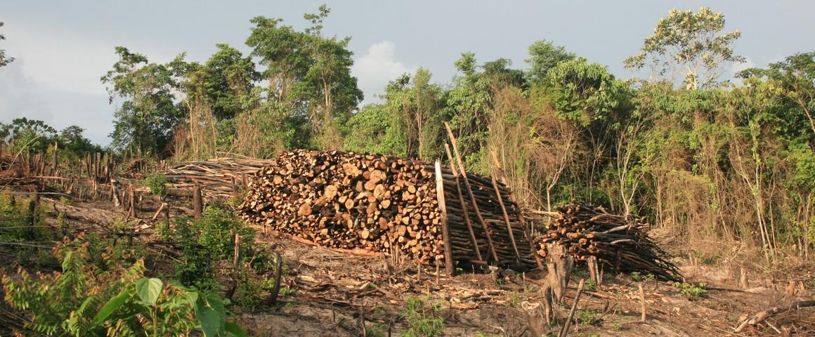 Woodpile being built to produce charcoal, which is used in urban areas of Congo as a domestic fuel © E. Dubiez, CIRAD